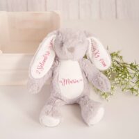 Coelhinho Peluche Personalizado