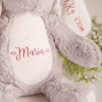 Coelhinho Peluche Personalizado