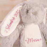 Coelhinho Peluche Personalizado