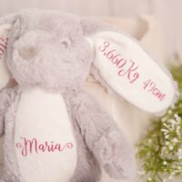 Coelhinho Peluche Personalizado